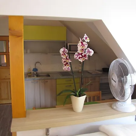Apartma Zo-vi Apartment *
