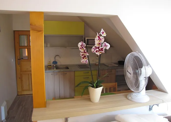 Apartma Zo-vi דירה *