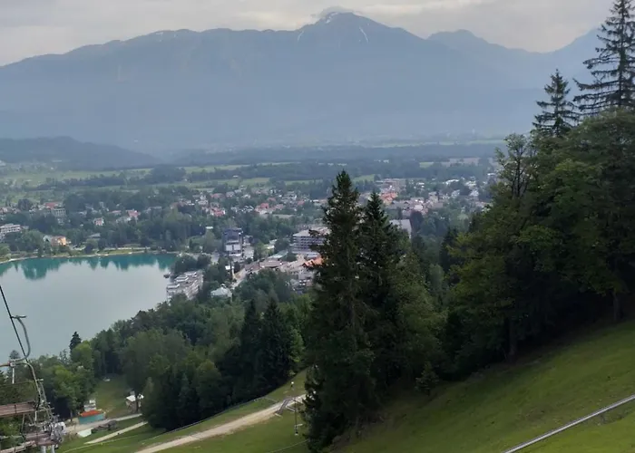 Apartma Zo-vi * בלד